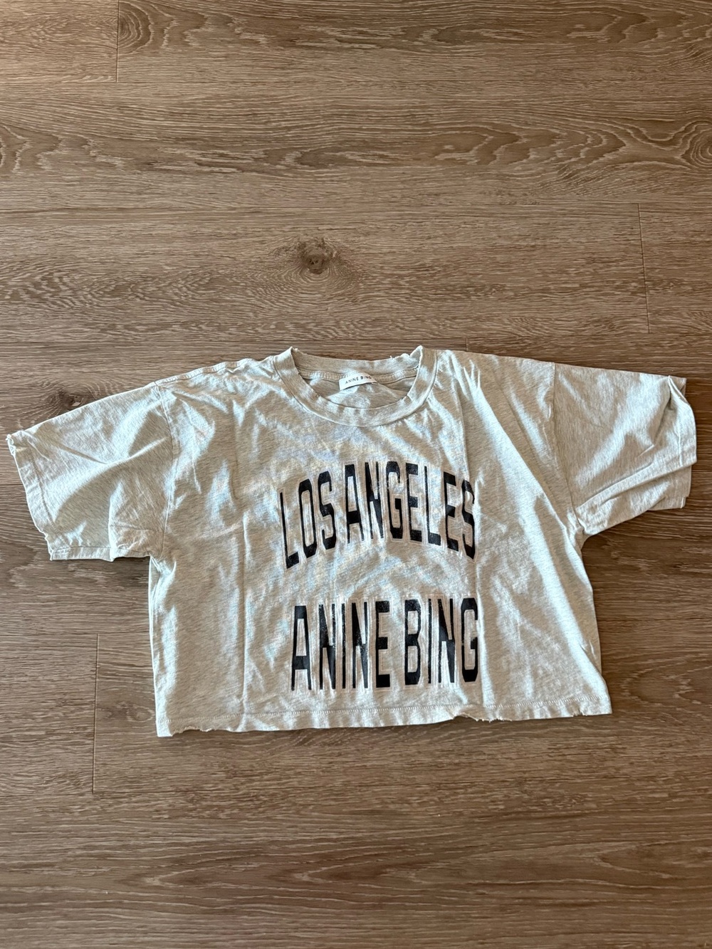 NWOT ANINE BING Johnny cropped tee